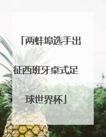 两蚌埠选手出征西班牙桌式足球世界杯